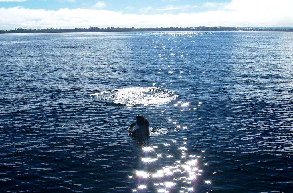 Punta Piedras Lodge & Marina Puerto Montt Eksteriør bilde